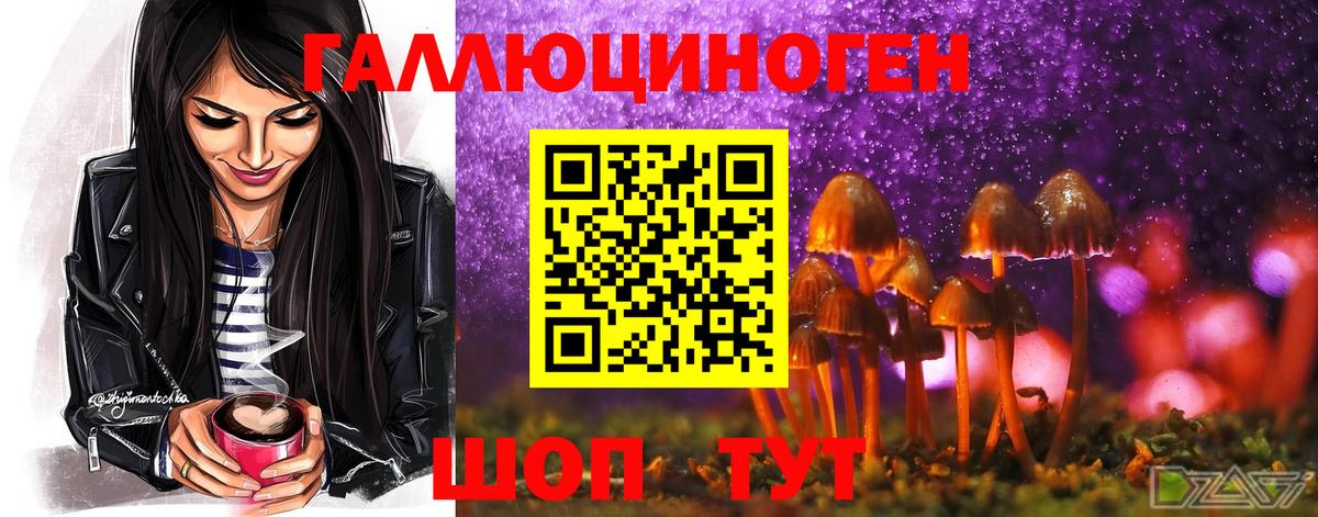 Хасавюрт  Псилоцибиновые грибы Psilocybe  купить наркоту  Вход с VPN 
